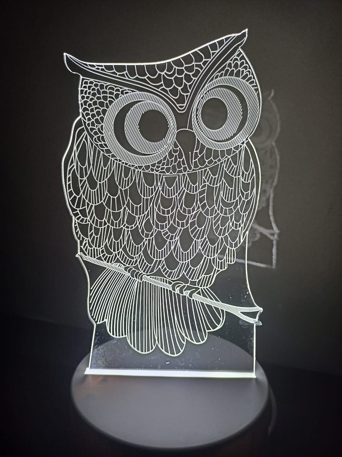 Luminária Led 3d Coruja Abajur Ave Passaro a Noite Luz Branca Presente Natureza